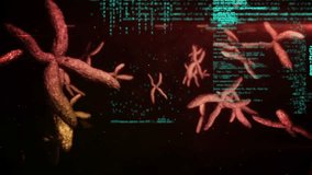 Animation of data processing over 3d dna strand spinning. global science, computing, data processing and digital interface concept digitally generated video. - Powered by Shutterstock - Get 15% off with code: PIKWIZARD15