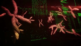 Animation of data processing over 3d dna strand spinning. global science, computing, data processing and digital interface concept digitally generated video. - Powered by Shutterstock - Get 15% off with code: PIKWIZARD15