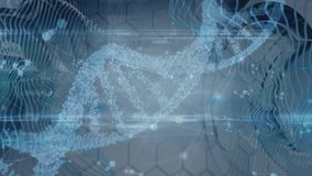 Animation of network of connections and dna in digital space with waves. Global network, science, connections and digital interface concept digitally generated video. - Powered by Shutterstock - Get 15% off with code: PIKWIZARD15