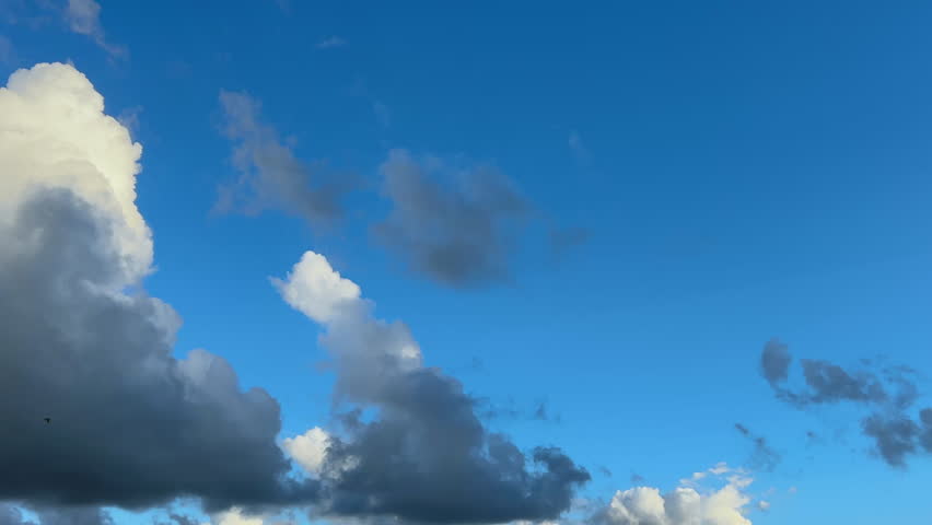 Seagulls flying in dramatic blue tropical sky with clouds