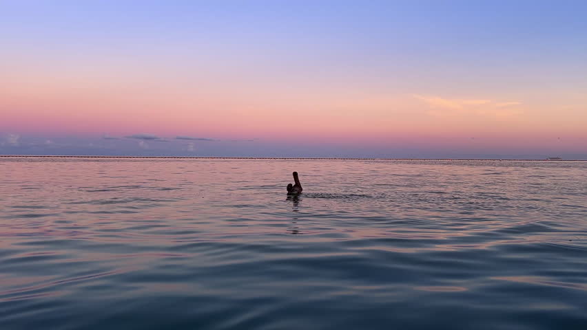 Pelican taking off over calm tropical sea at pastel sunset