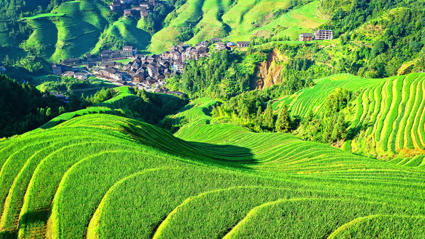 Aerial shot of the spectacular Longji Terraced Fields and village landscape in Guilin, China. Beautiful agricultural and nature background.