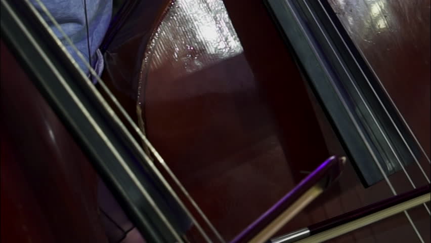 Musicians actively play string instruments cellos with bows drawn across strings. Collaborative nature of ensemble music performance