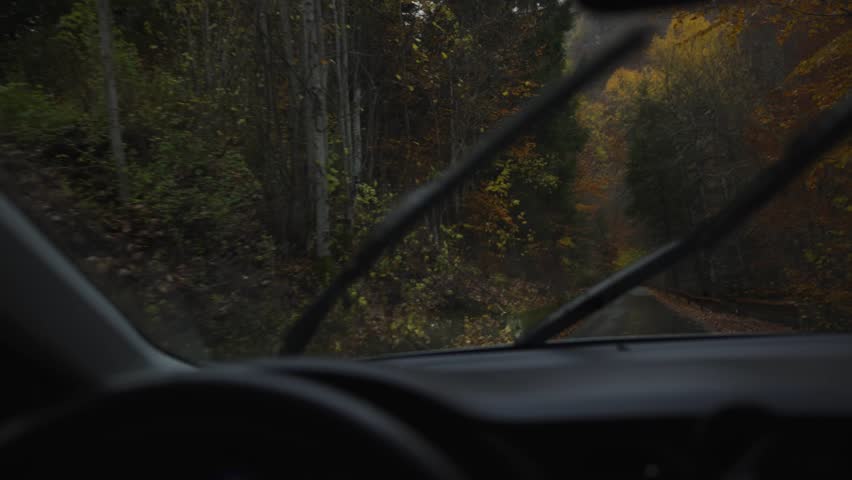 A car moves through a narrow winding forest road in autumn. Wet asphalt, fallen leaves, metal guardrails, and a stone retaining wall appear under an overcast sky.