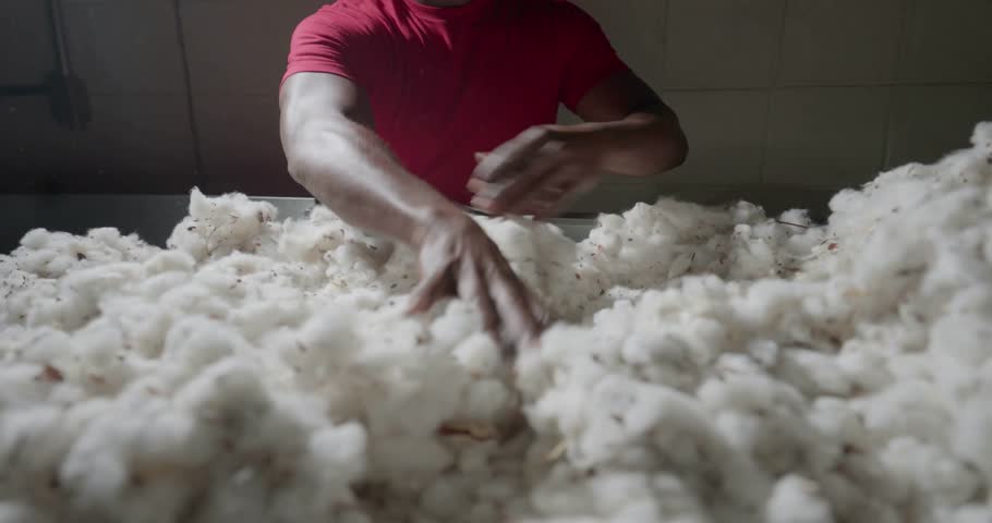 man, working, cotton, machine, worker, textile, factory, industry, manufacturing, production, machinery, processing, fabric, fibers, yarn, weaving, spinning, industrial, labor, technician, operator