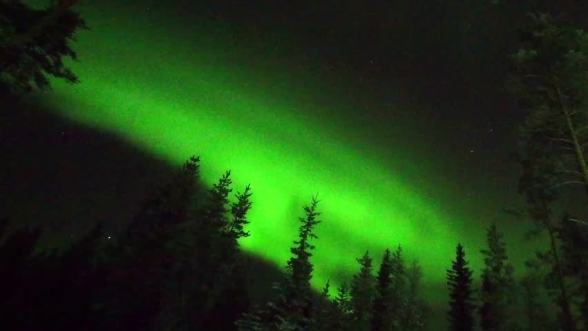Aurora borealis glowing across night sky with rotating star trails above forest silhouette showing Earth rotation long exposure astrophotography polar night concept