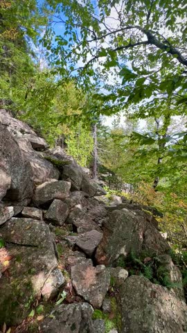Rocky and Forested Mountain Slope on the Jordan Cliffs Trail (Acadia National Park, Maine, USA)