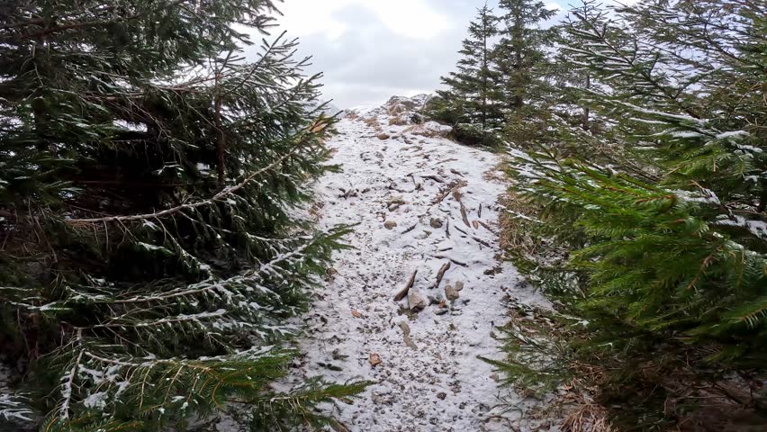 Dynamic Transition from Winter Forest to Open Rock Lookout with Panoramic Mountain View at Sunset.