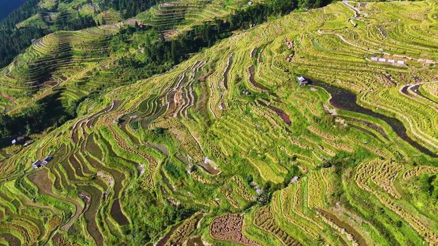 Aerial view of Jiabang Rice Terraces in the Congjiang County, Guizhou province, China