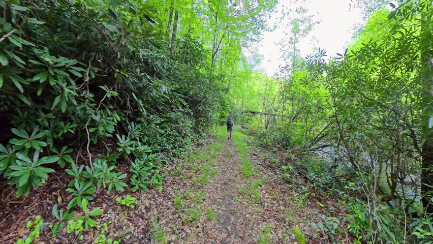 Approaching Bridge Over Eagle Creek in Great Smoky Mountains National Park