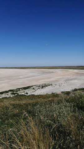 Vertical smartphone video of a sea bay with white sandy beach during low tide and a flock of seagulls walking along the shore. Clear blue sky and calm coastal scenery shot in portrait orientation for mobile and social media content.