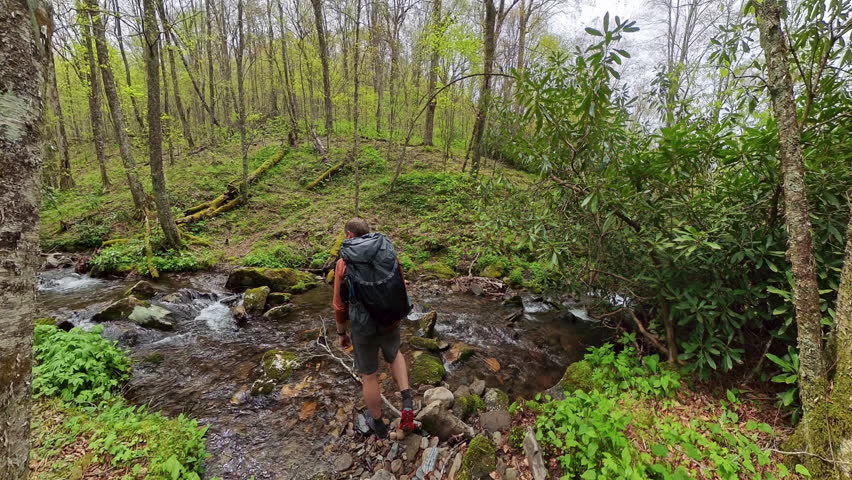 Crossing Creek on Jenkins Ridge in Great Smoky Mountains National Park