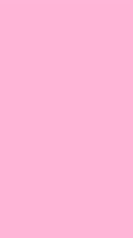 Bright Growing Flower Morphing to Heart Animation Revealing Happy Valentine