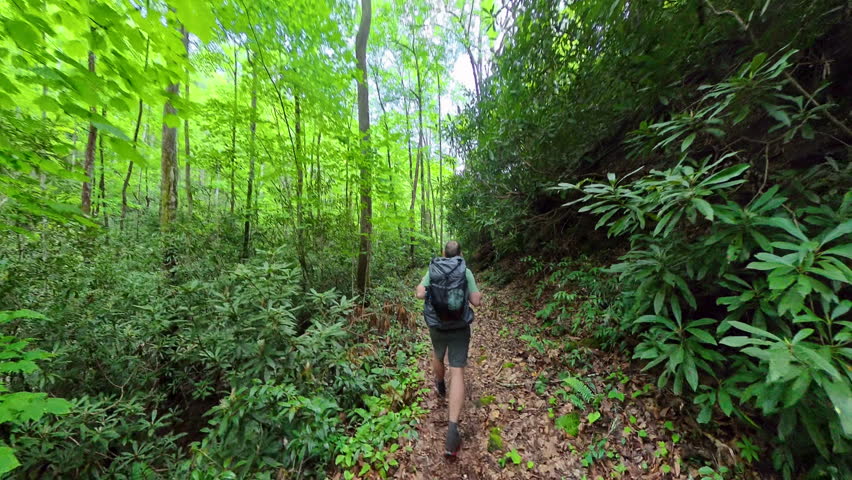Following Man Backpacking Through the Smokies in Early Summer
