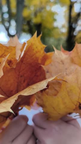 Portrait of a shy smiling teenage girl holding autumn leaves in a park during fall season.