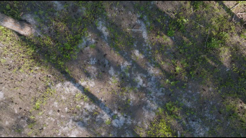 Aerial footage in southeastern North Carolina during the spring on a partly cloudy day