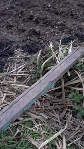 Look awesome of bridge on park from wood