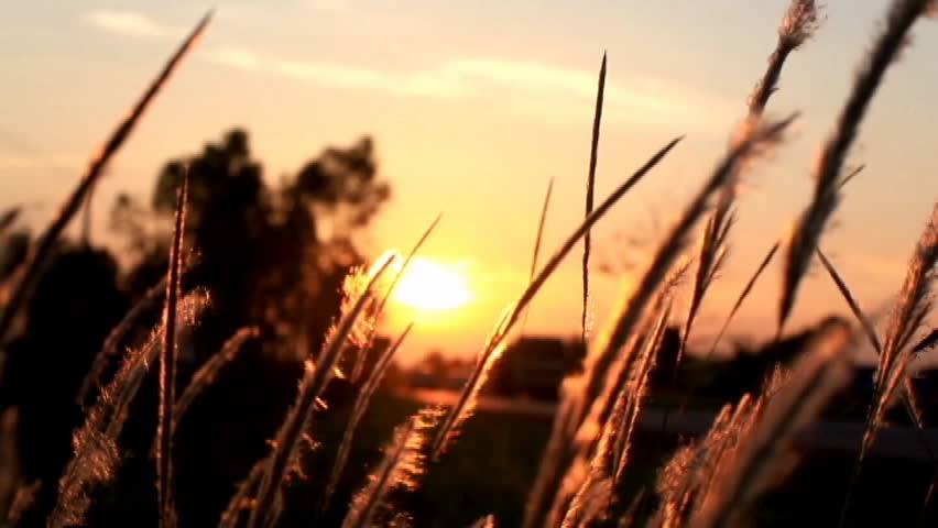 Beautiful sunset