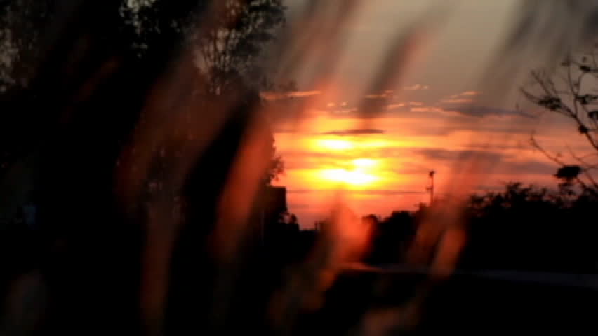 Beautiful sunset