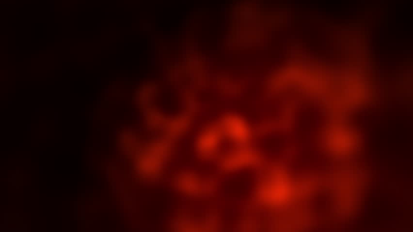 Simulated solar photosphere with boiling plasma noise displacement and magnetic particle arcs. Scientific visualization of stellar convection and coronal loops. Seamless 4K loop, procedural 3D art.