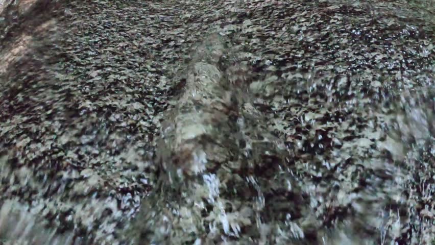 A video shot up close of water flowing in a river