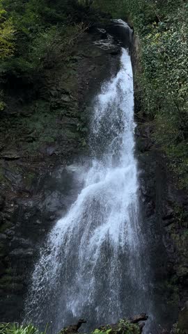 Tall waterfall cascading down a rocky cliff in Mtirala National Park, Georgia. Lush green forest surrounds the falls, fresh water spray and tranquil wilderness atmosphere.
