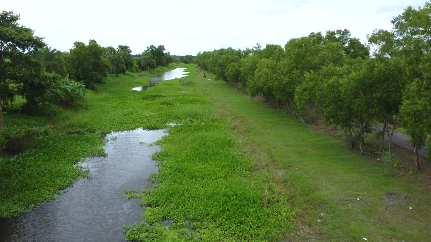 Aerial view of expansive agricultural terrain in West Bengal with palm trees, grassy fields, cultivated plots, and water bodies.