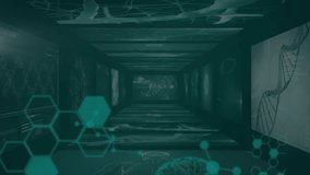 Animation of scientific data, dna, brain and connections over black background. science, biology, connections and technology concept digitally generated video. - Powered by Shutterstock - Get 15% off with code: PIKWIZARD15