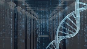 Animation of binary coding and dna structure spinning over server room. Medical research and business data storage technology concept - Powered by Shutterstock - Get 15% off with code: PIKWIZARD15