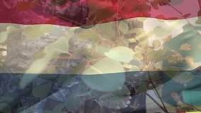 Animation of flag of netherlands over african american male soldier. Patriotism, armed forces and national defence concept digitally generated video. - Powered by Shutterstock - Get 15% off with code: PIKWIZARD15