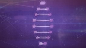 Animation of dna structure spinning over network of profile icons against purple background. Medical research and networking technology concept - Powered by Shutterstock - Get 15% off with code: PIKWIZARD15