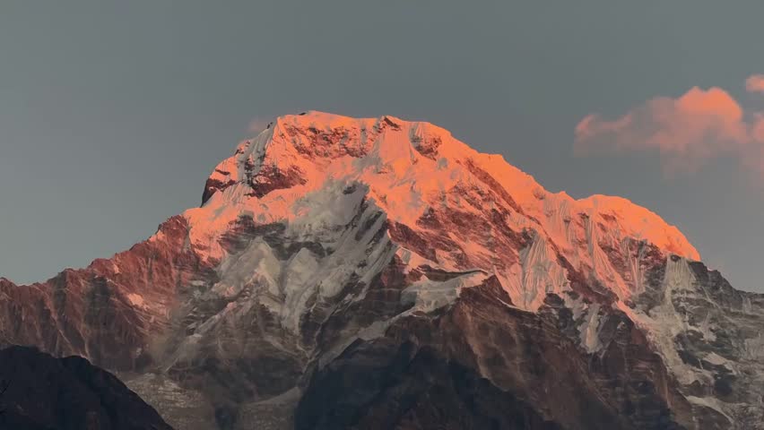 Golden Zenith: The Majestic Alpenglow over a Snow-Draped Himalayan Peak.