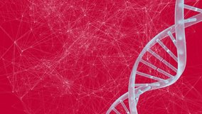 Animation of moving clock and dna strand over network of connections on red background. global technology and connections concept digitally generated video. - Powered by Shutterstock - Get 15% off with code: PIKWIZARD15