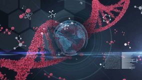 Animation of dna, molecule, globe and data processing on black background. science, human genome, data processing and technology concept digitally generated video. - Powered by Shutterstock - Get 15% off with code: PIKWIZARD15
