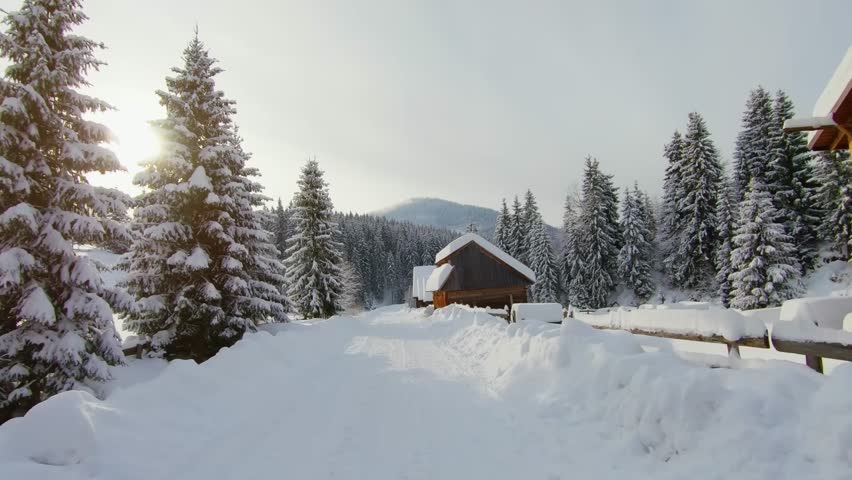 A serene and picturesque winter scene featuring a small wooden house nestled among snow-laden fir trees in a mountain range. The bright, frosty day highlights the pristine snow and natural beauty of t
