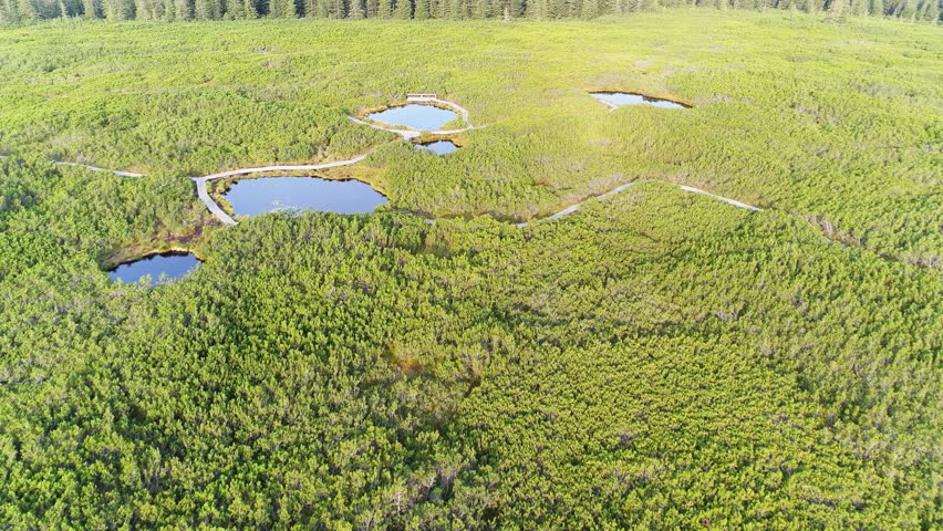 Aerial view of small ponds scattered across the peat bog landscape of Lovrenc Lakes on Pohorje in Slovenia in 2020.