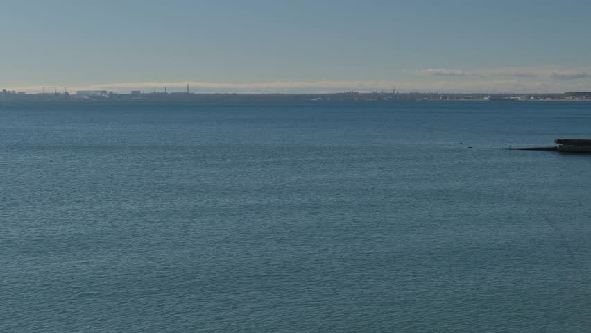 Portrait of a young woman with long hair against the backdrop of the sea on a sunny winter day