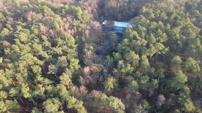 Lonely hut hidden in deep winter forest near frozen ponds - Top Down Aerial