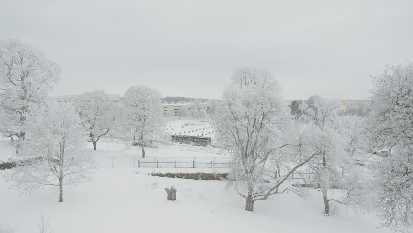 A serene winter landscape showcasing snow-covered trees and a white blanket of snow. The scene captures the tranquility of a frosty day, perfect for winter enthusiasts and nature lovers.