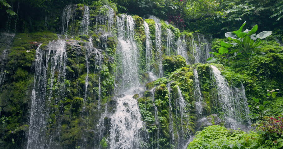 Cascading waterfall with tropical plants in Bali