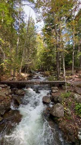 Footbridge Across a Fast-Moving Water in the Forest Near Jordan Pond (Acadia National Park, Maine, USA)