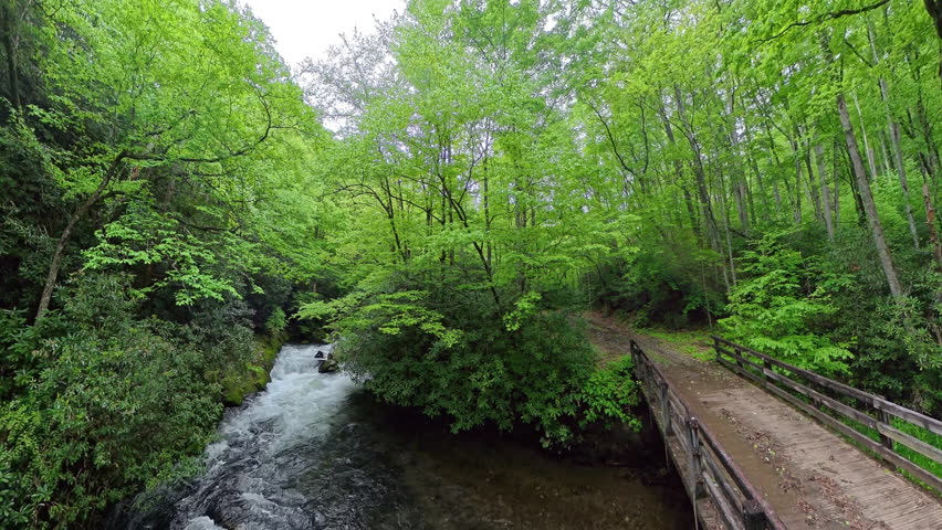 Shots of Hazel Creek and Bridge Over it in the Smokies