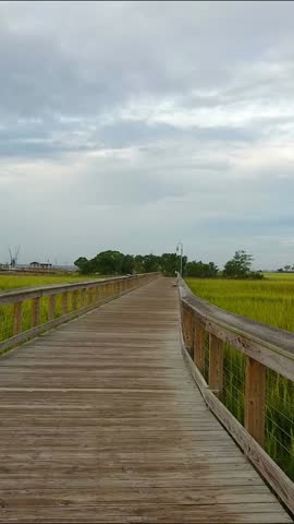 Sunset Marsh Walkway Aerial Background in Charleston