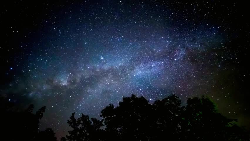 Stunning Milky Way galaxy shining above silhouetted trees, capturing the beauty of the night sky, stars, and cosmic landscapes.