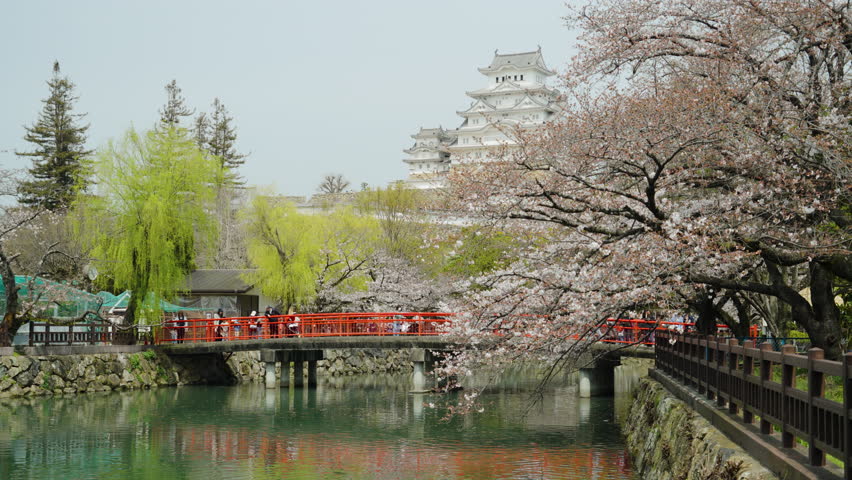 Himeji, Japan at Himeji Castle during spring cherry blossom season.