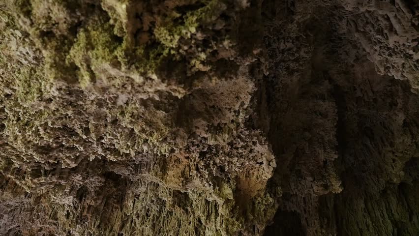 Detail of the intricate limestone formations and moss on the ceiling of a cave in the Nasrid Garden.