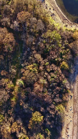 A coastal area shows a mix of trees and land along the water. The scene captures many shades of green and brown from the plants and the shoreline during daytime under clear skies.