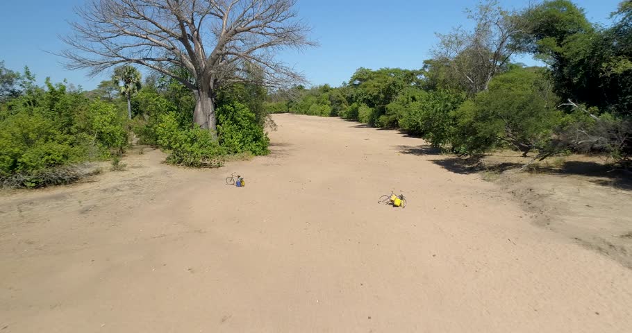 Aerial view of dry riverbed with trees, Mozambique.