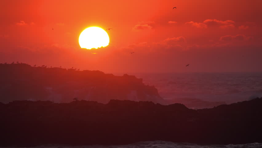Seagulls fly over the sea against the backdrop of the setting sun, 4k