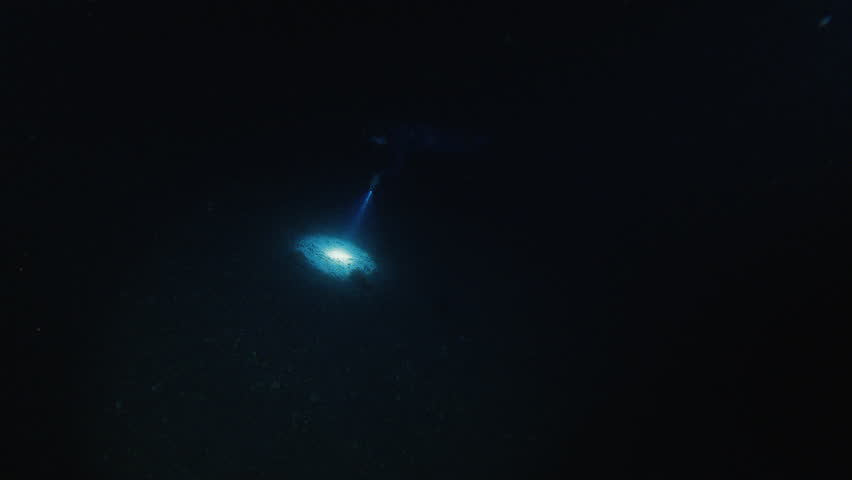 Muck freediving in Indonesia. Freediver swims underwater in the sea at night and searches creatures with the torch. Muck diving on Alor island in Indonesia